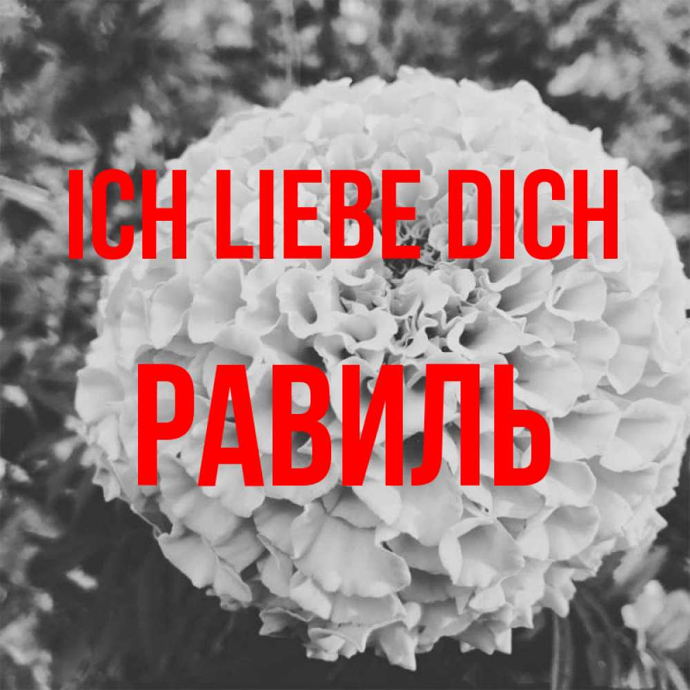 Открытка на каждый день с именем, Равиль Ich liebe dich подпись Прикольная открытка с пожеланием онлайн скачать бесплатно 