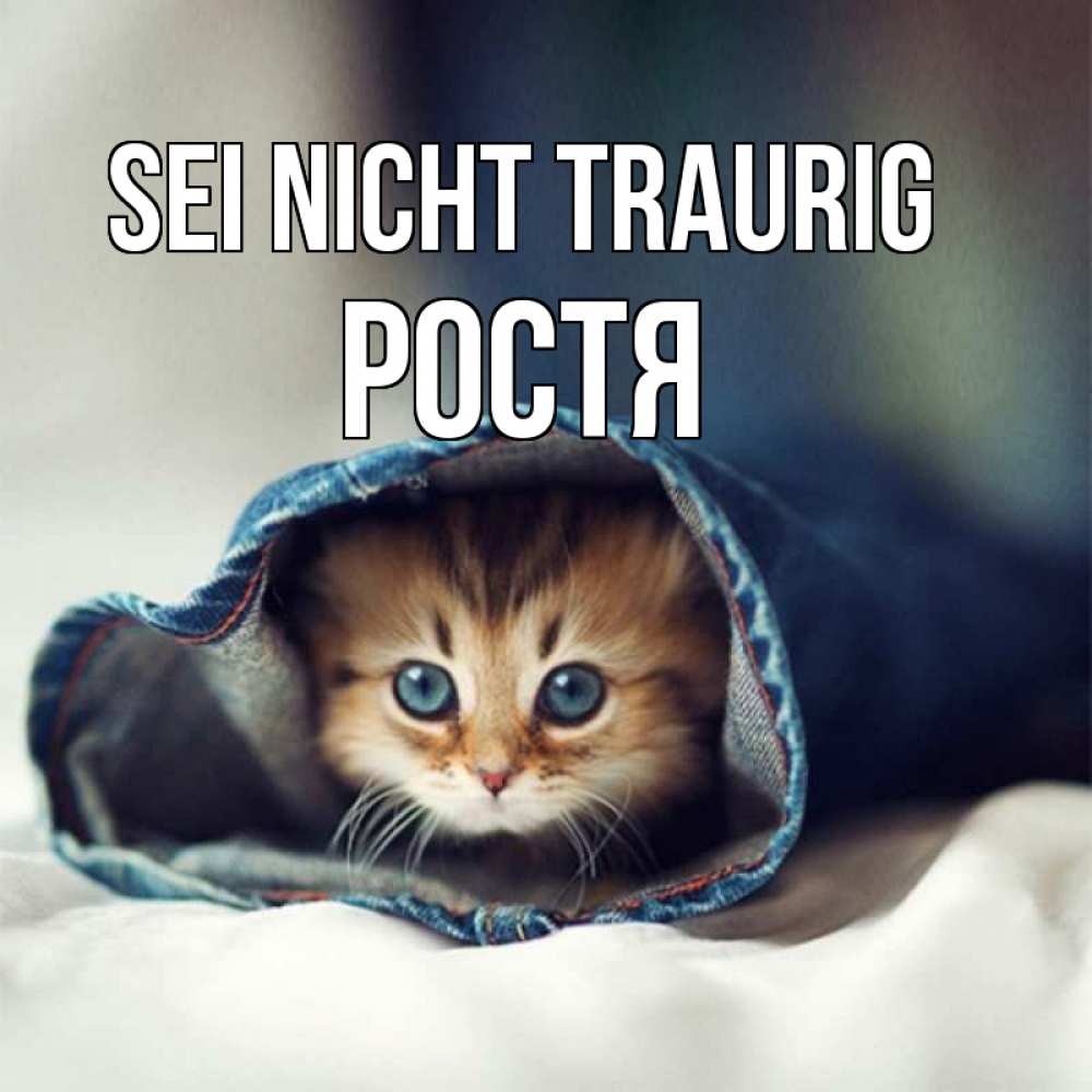 Открытка на каждый день с именем, Ростя Sei nicht traurig рыжик котик Прикольная открытка с пожеланием онлайн скачать бесплатно 