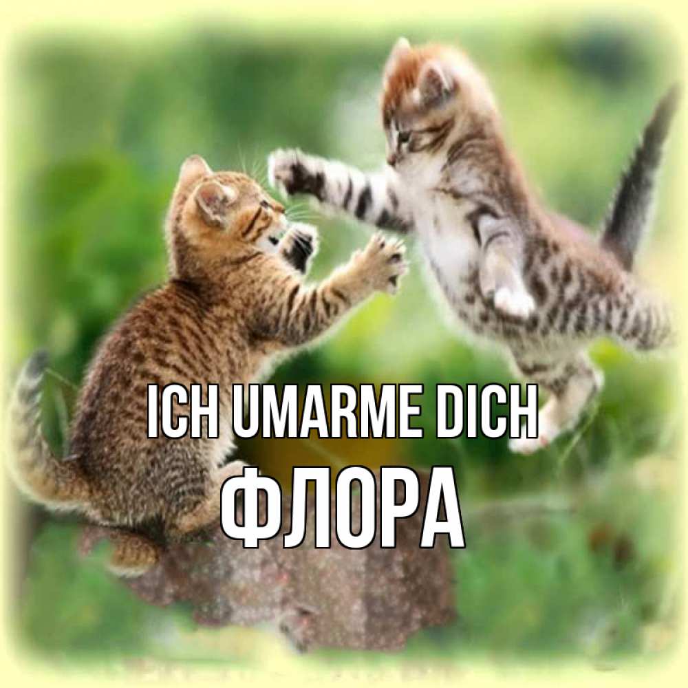 Открытка на каждый день с именем, Флора Ich umarme dich игры котят Прикольная открытка с пожеланием онлайн скачать бесплатно 