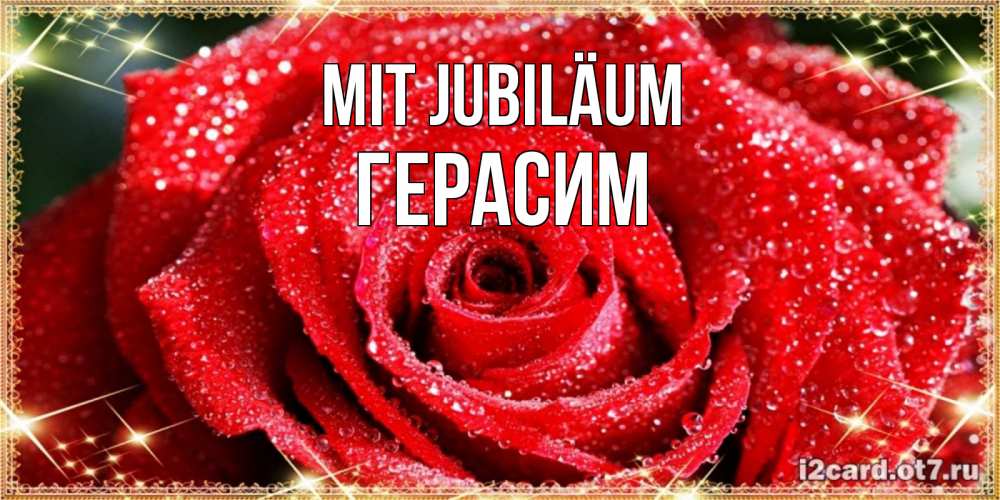 Открытка на каждый день с именем, Герасим Mit Jubiläum роса и роза. открытка с красивой розой Прикольная открытка с пожеланием онлайн скачать бесплатно 