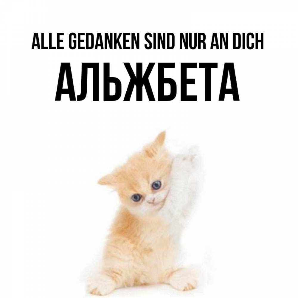 Открытка на каждый день с именем, Альжбета Alle Gedanken sind nur an dich зверушки и милота Прикольная открытка с пожеланием онлайн скачать бесплатно 