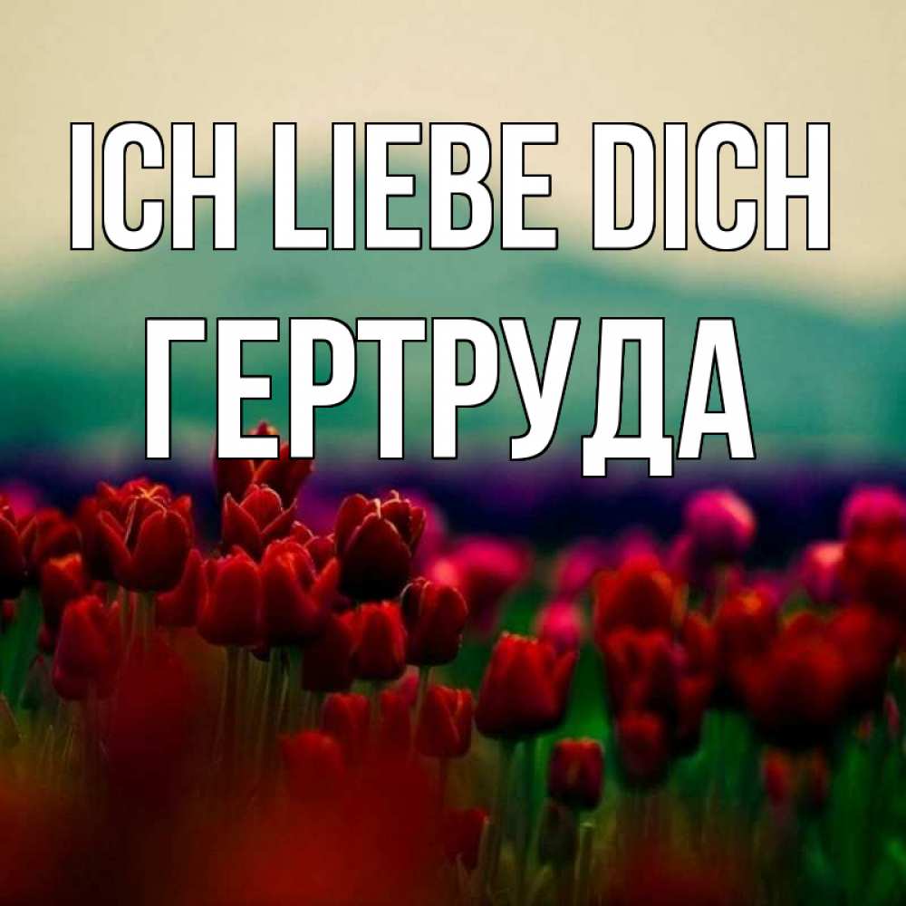 Открытка на каждый день с именем, Гертруда Ich liebe dich тюльпаны 4 Прикольная открытка с пожеланием онлайн скачать бесплатно 