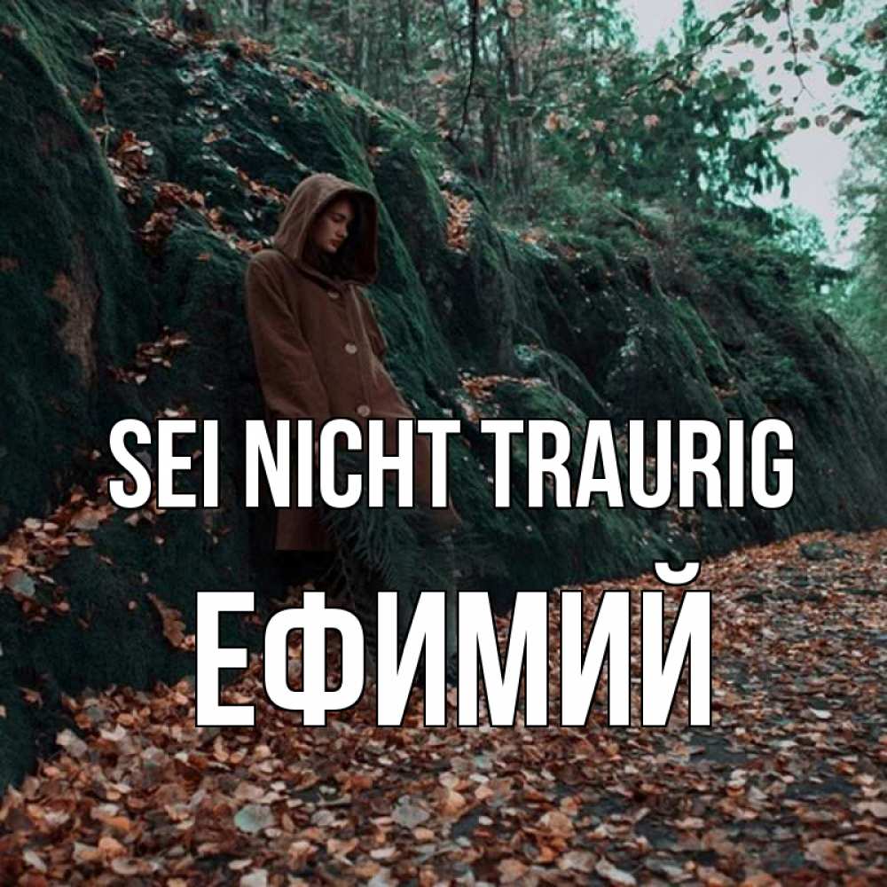 Открытка на каждый день с именем, Ефимий Sei nicht traurig осенний лес Прикольная открытка с пожеланием онлайн скачать бесплатно 