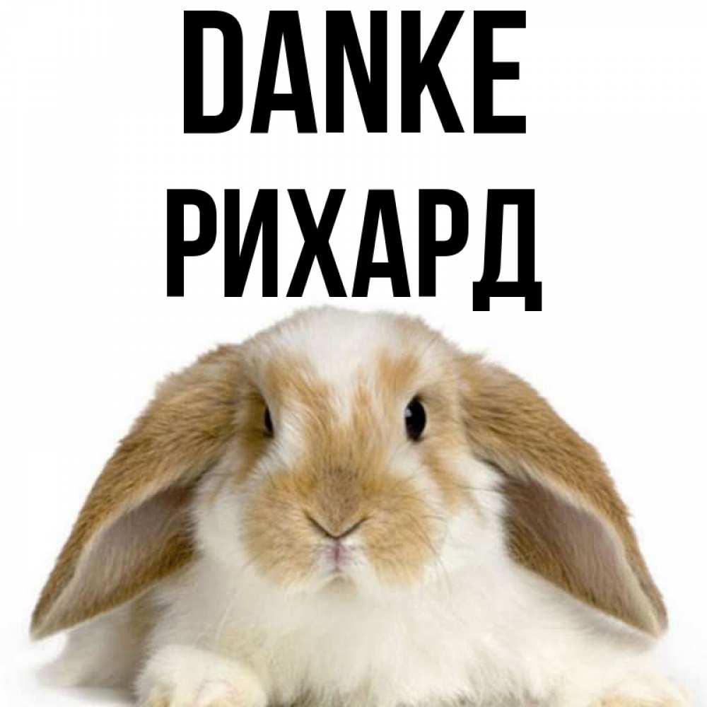 Открытка на каждый день с именем, Рихард Danke коричнево белый заяц Прикольная открытка с пожеланием онлайн скачать бесплатно 