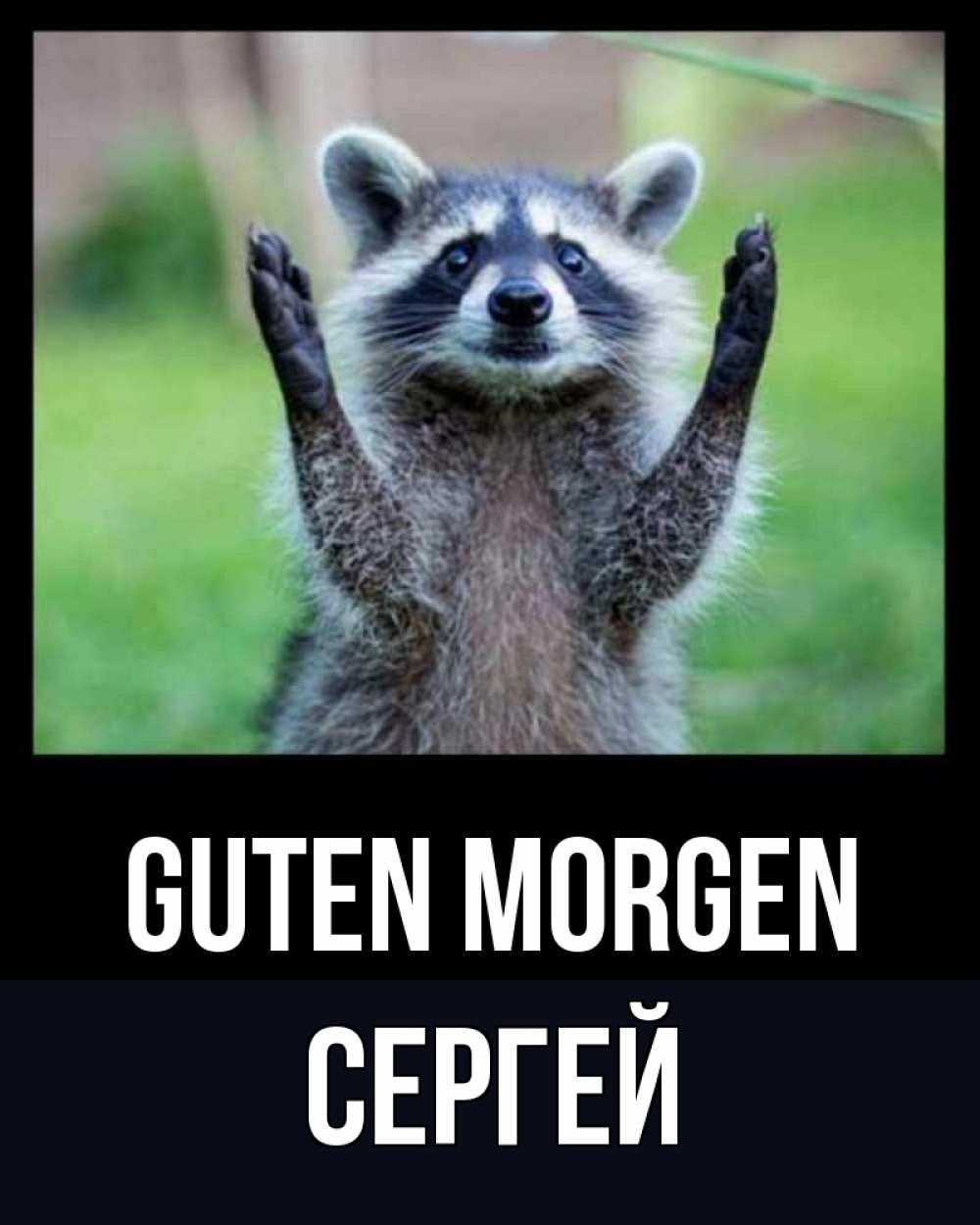Открытка на каждый день с именем, Сергей Guten Morgen хорошее настроение утречком Прикольная открытка с пожеланием онлайн скачать бесплатно 
