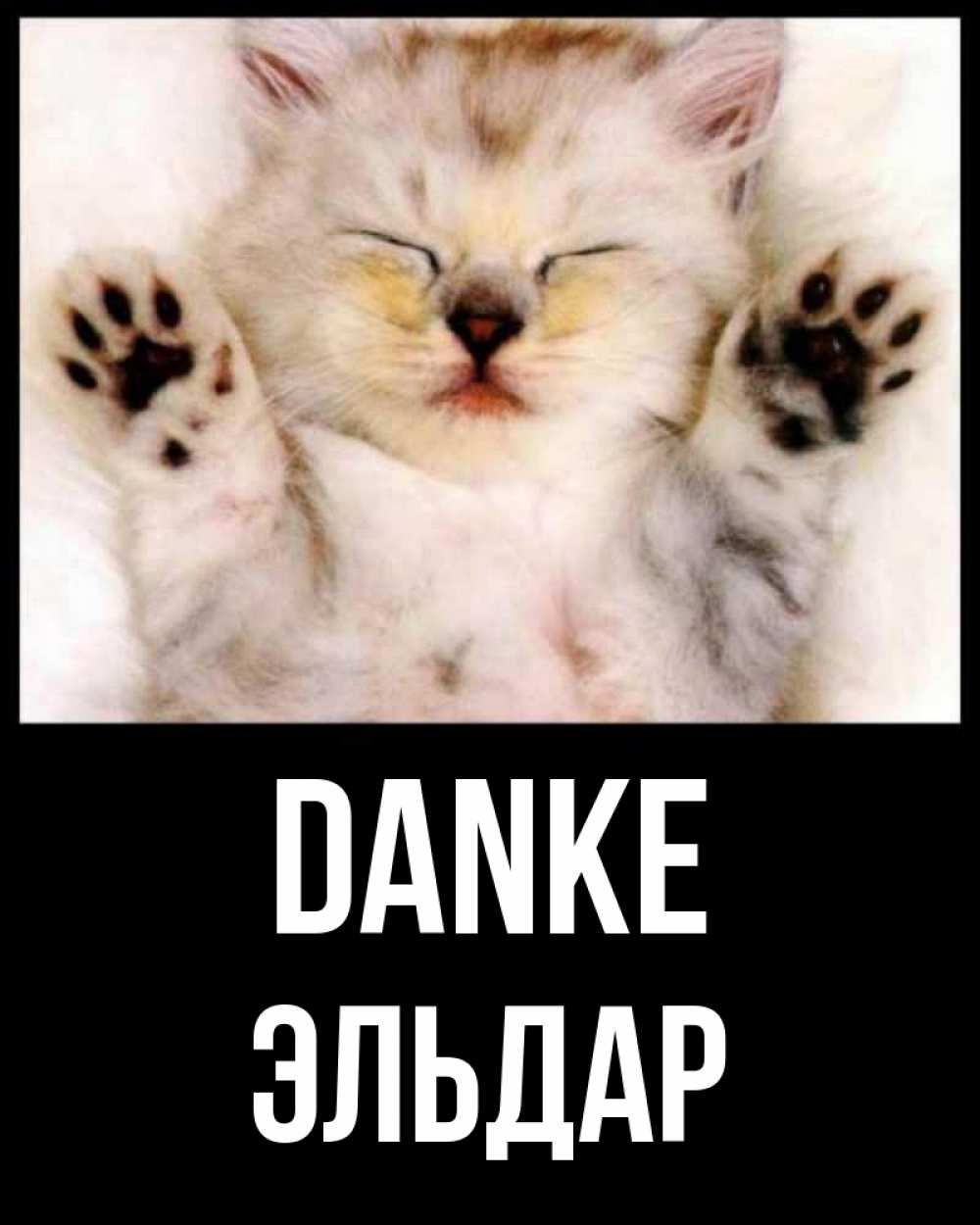 Открытка на каждый день с именем, Эльдар Danke маленький котенок Прикольная открытка с пожеланием онлайн скачать бесплатно 