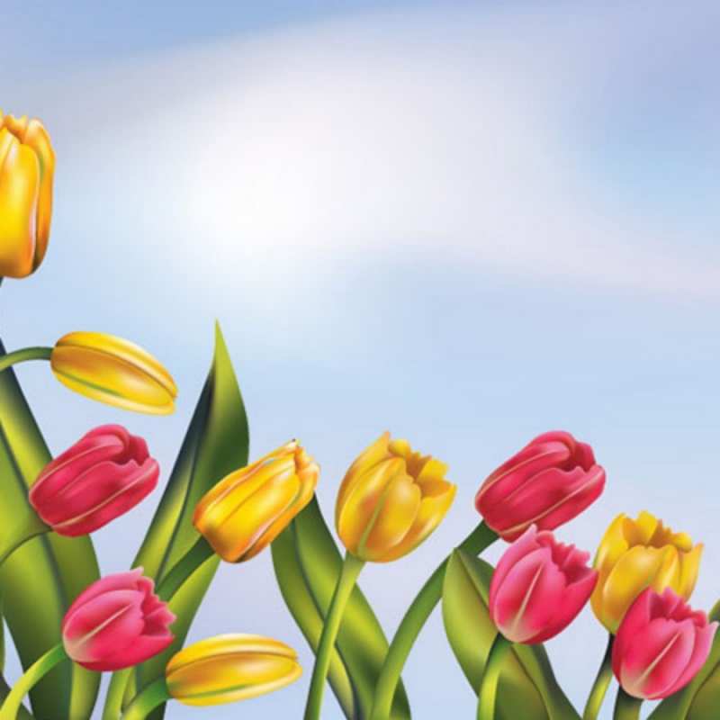 Открытка клипарт тюльпаны  международный женский день  Am 8. März 