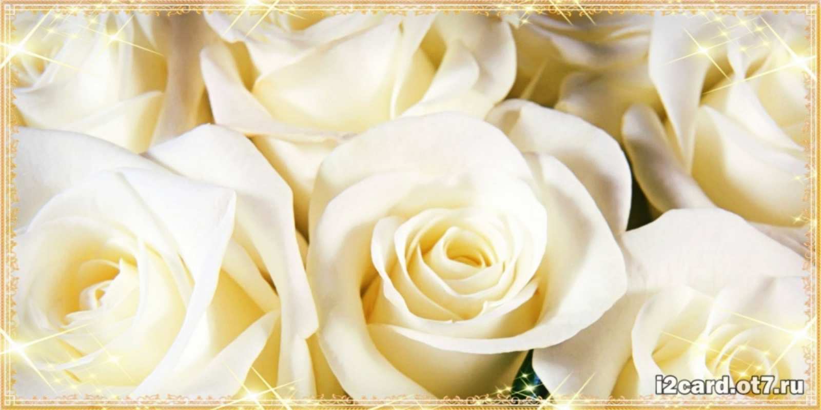 Открытка белые розы для родных людей розочки белого цвета на открытке Mit Jubiläum 