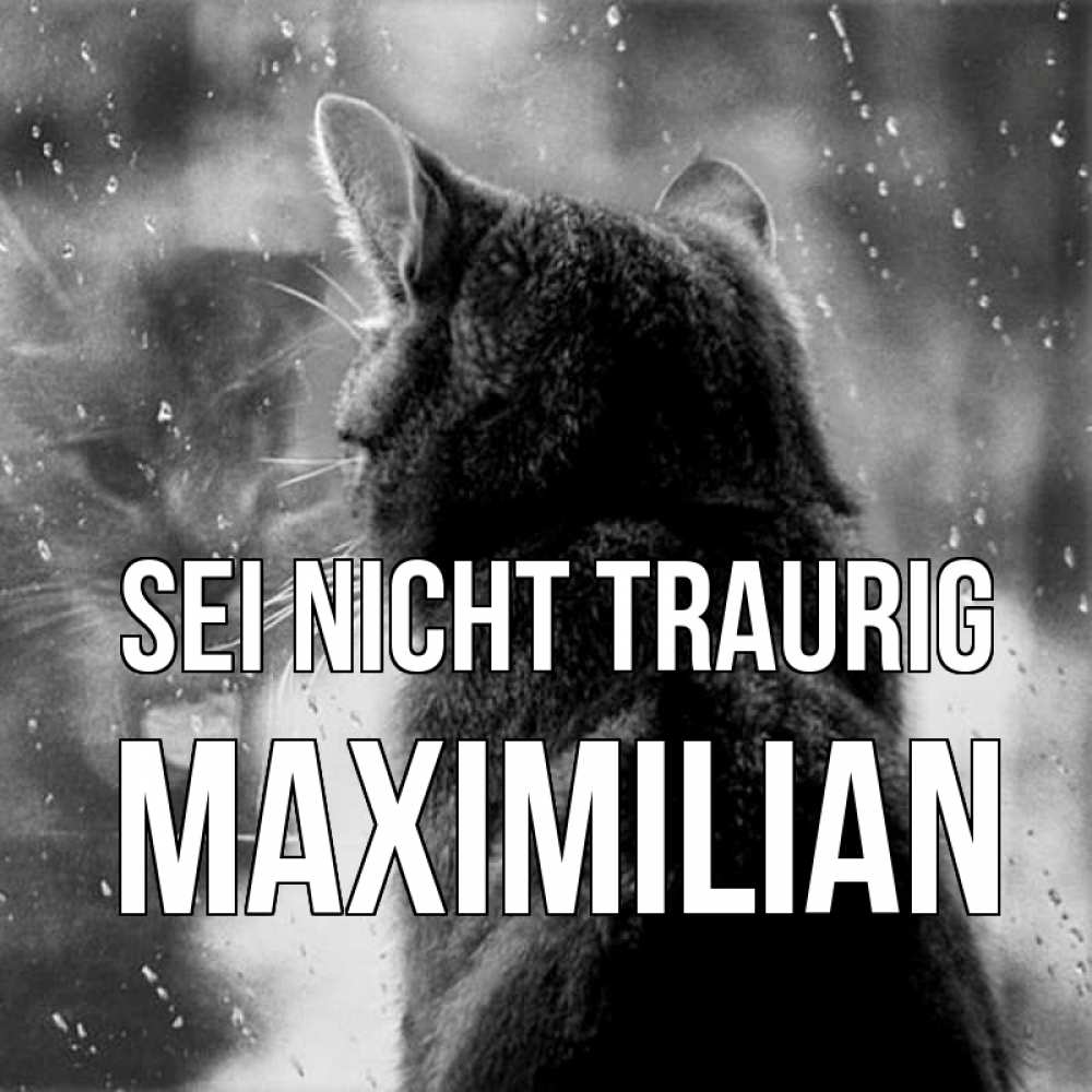 Открытка на каждый день с именем, Maximilian Sei nicht traurig отражение кота 1 Прикольная открытка с пожеланием онлайн скачать бесплатно 