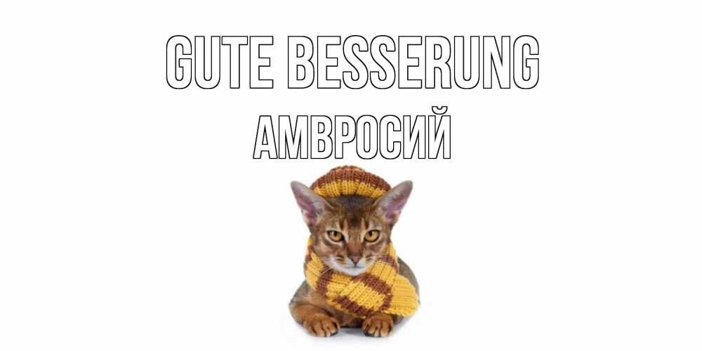 Открытка на каждый день с именем, Амвросий Gute Besserung родные не болейте Прикольная открытка с пожеланием онлайн скачать бесплатно 
