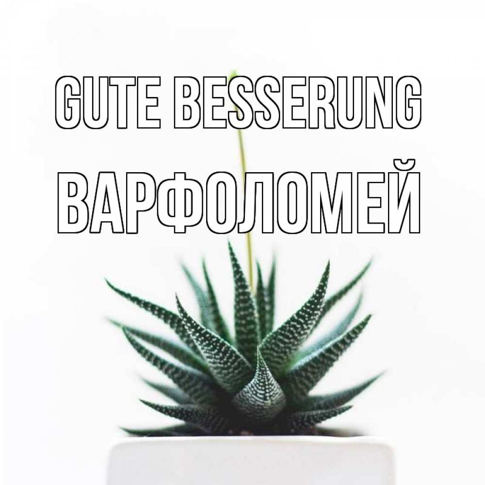 Открытка на каждый день с именем, Варфоломей Gute Besserung короче это непонятная колючка Прикольная открытка с пожеланием онлайн скачать бесплатно 