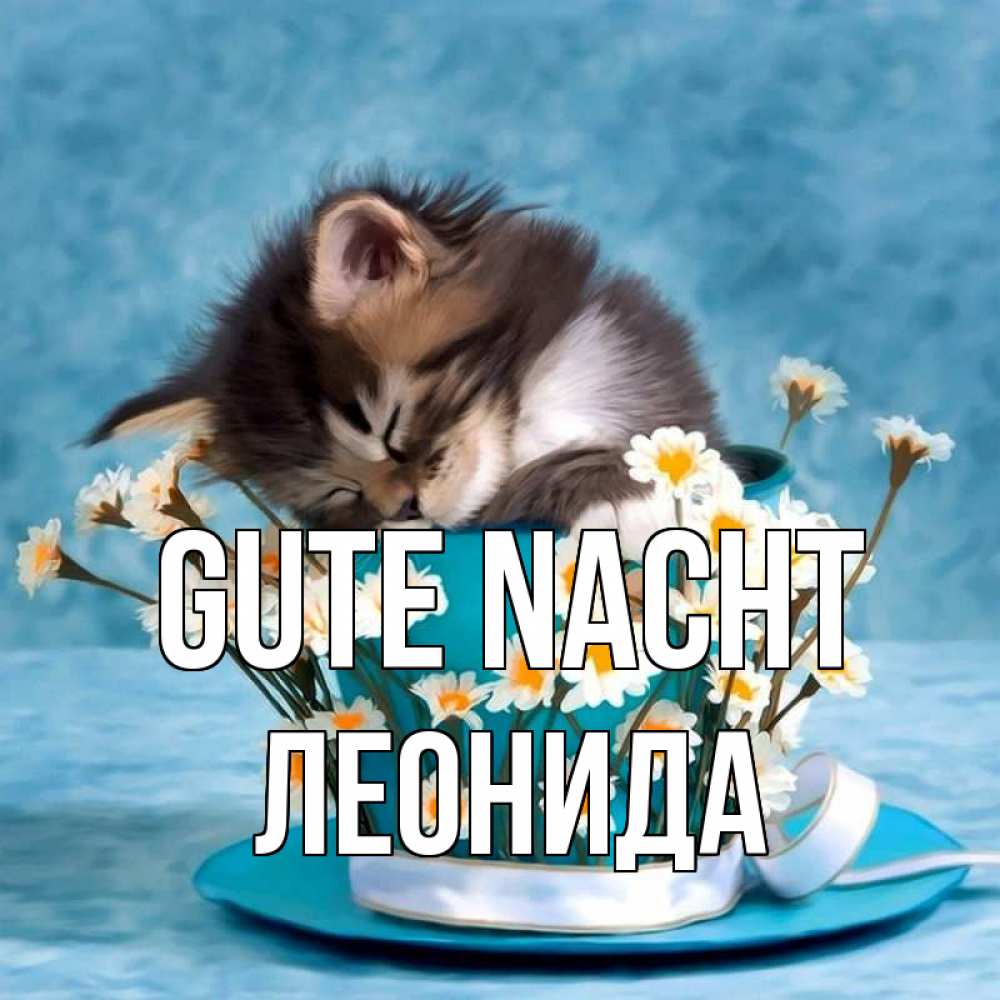 Открытка на каждый день с именем, Леонида Gute Nacht котенок спит в кружке с блюдцем Прикольная открытка с пожеланием онлайн скачать бесплатно 