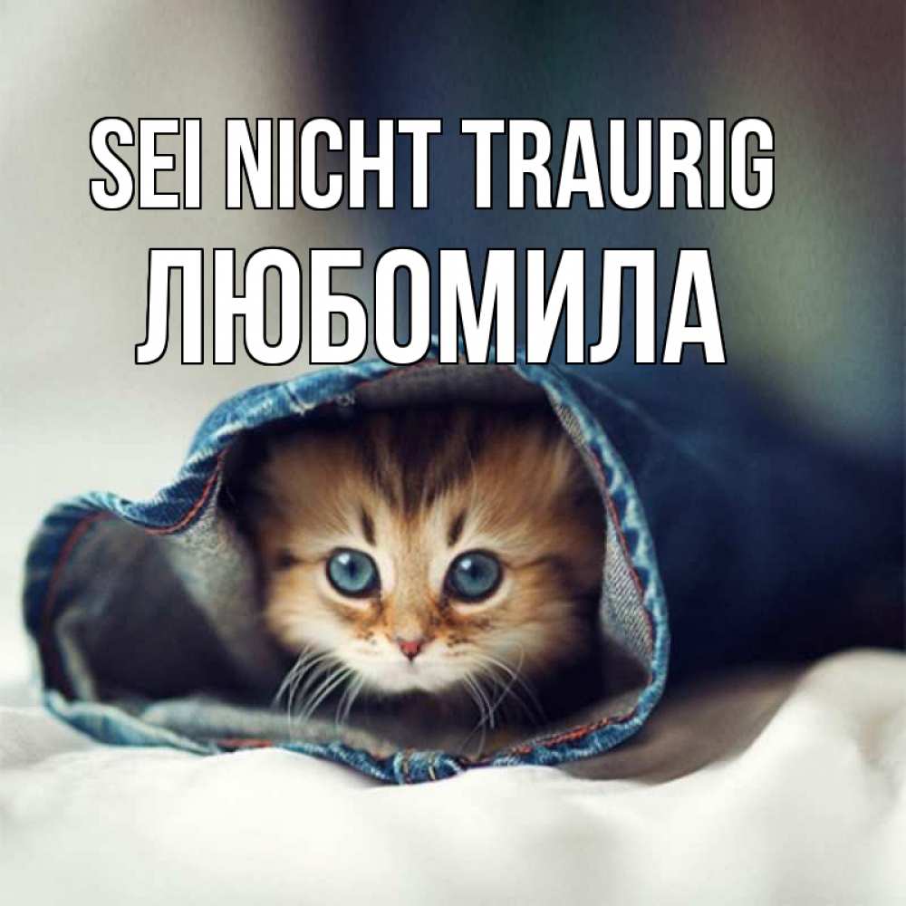 Открытка на каждый день с именем, Любомила Sei nicht traurig рыжик котик Прикольная открытка с пожеланием онлайн скачать бесплатно 