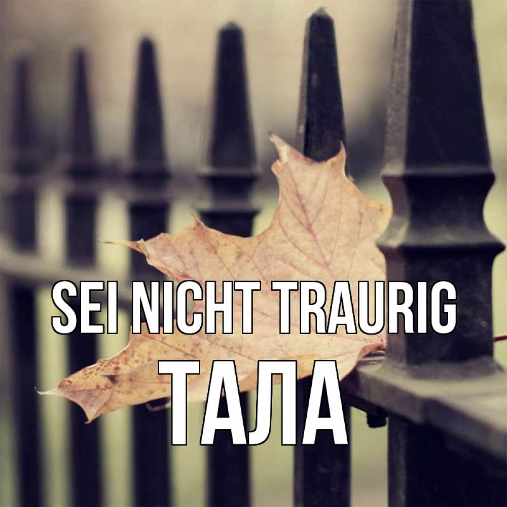 Открытка на каждый день с именем, Тала Sei nicht traurig лист клена Прикольная открытка с пожеланием онлайн скачать бесплатно 