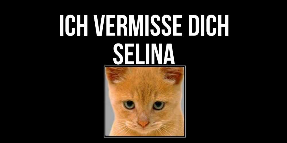 Открытка на каждый день с именем, Selina Ich vermisse dich открытки рыжий котенок скучает по тебе Прикольная открытка с пожеланием онлайн скачать бесплатно 