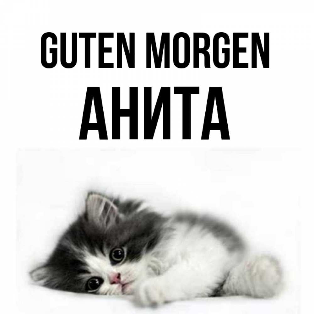 Открытка на каждый день с именем, Анита Guten Morgen кот лапки Прикольная открытка с пожеланием онлайн скачать бесплатно 