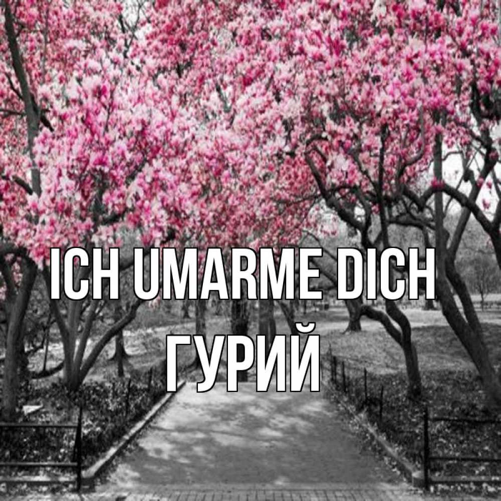 Открытка на каждый день с именем, Гурий Ich umarme dich обработанное фото Прикольная открытка с пожеланием онлайн скачать бесплатно 