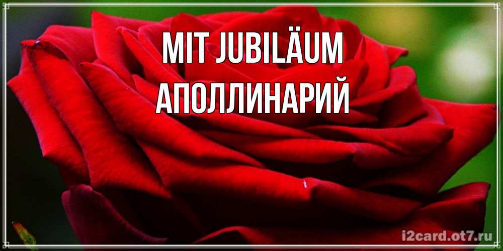 Открытка на каждый день с именем, Аполлинарий Mit Jubiläum розочка очень красивая Прикольная открытка с пожеланием онлайн скачать бесплатно 