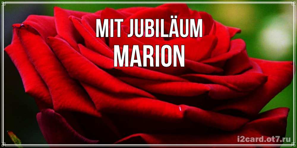 Открытка на каждый день с именем, Marion Mit Jubiläum розочка очень красивая Прикольная открытка с пожеланием онлайн скачать бесплатно 