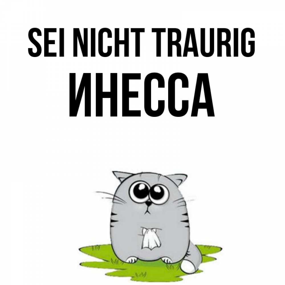 Открытка на каждый день с именем, Инесса Sei nicht traurig грустный котяра Прикольная открытка с пожеланием онлайн скачать бесплатно 