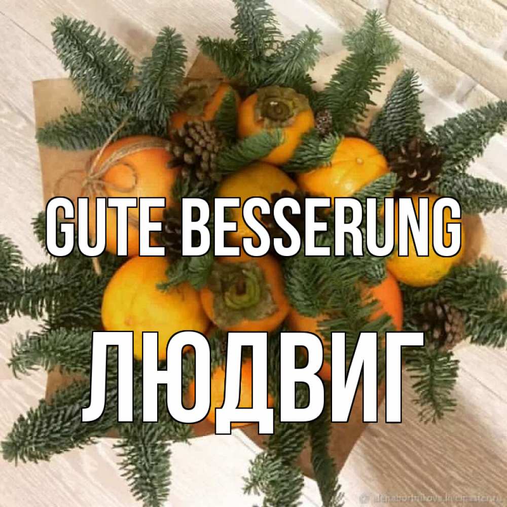 Открытка на каждый день с именем, Людвиг Gute Besserung апельсины и хурьма Прикольная открытка с пожеланием онлайн скачать бесплатно 