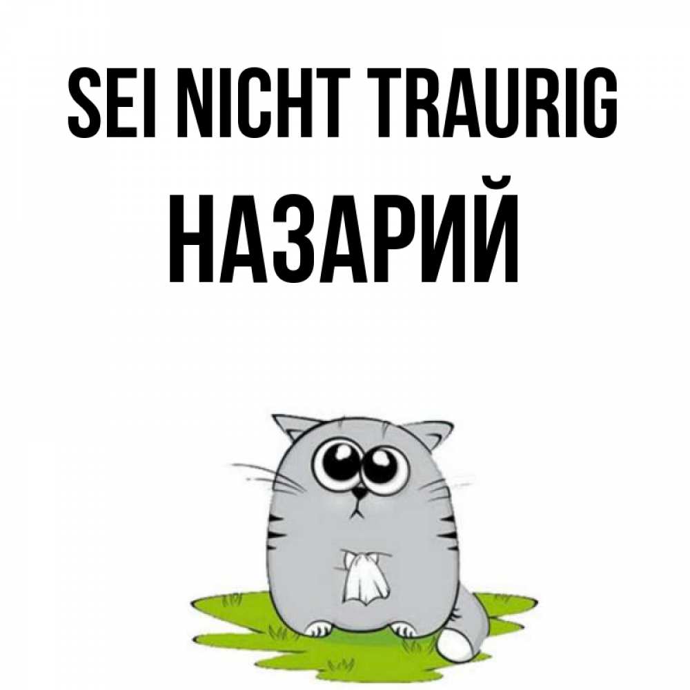 Открытка на каждый день с именем, Назарий Sei nicht traurig грустный котяра Прикольная открытка с пожеланием онлайн скачать бесплатно 