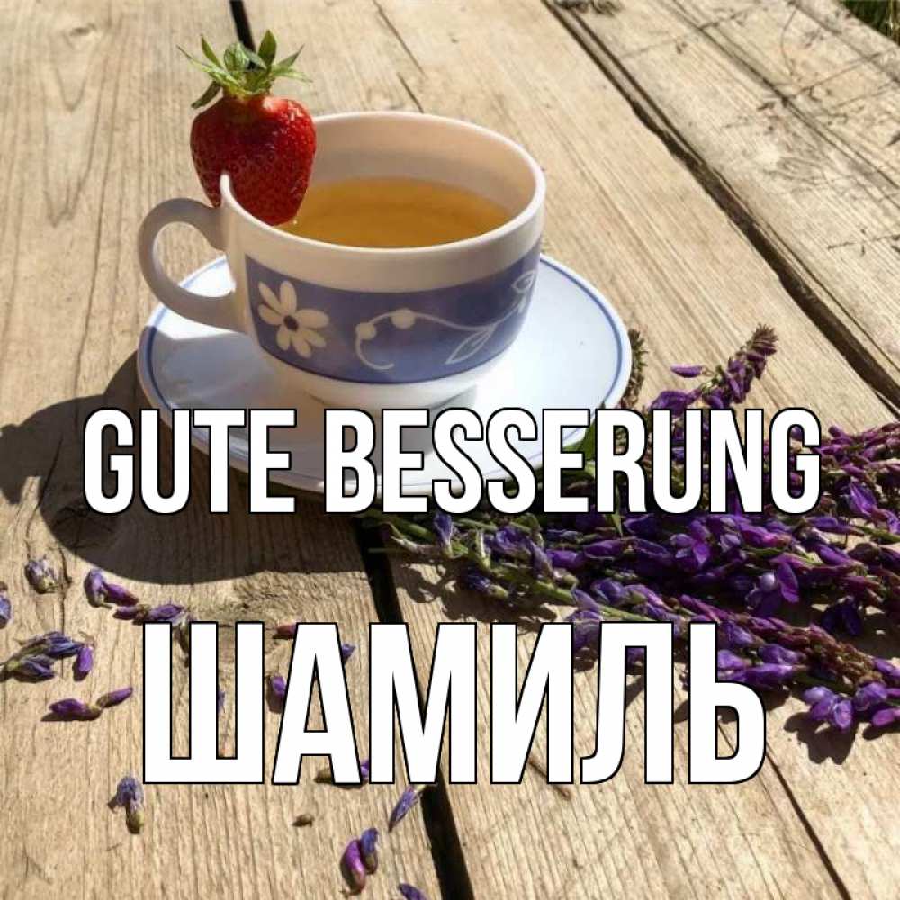 Открытка на каждый день с именем, Шамиль Gute Besserung чай Прикольная открытка с пожеланием онлайн скачать бесплатно 