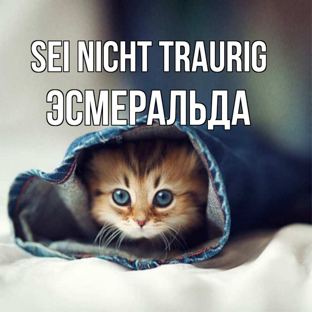 Открытка на каждый день с именем, Эсмеральда Sei nicht traurig рыжик котик Прикольная открытка с пожеланием онлайн скачать бесплатно 