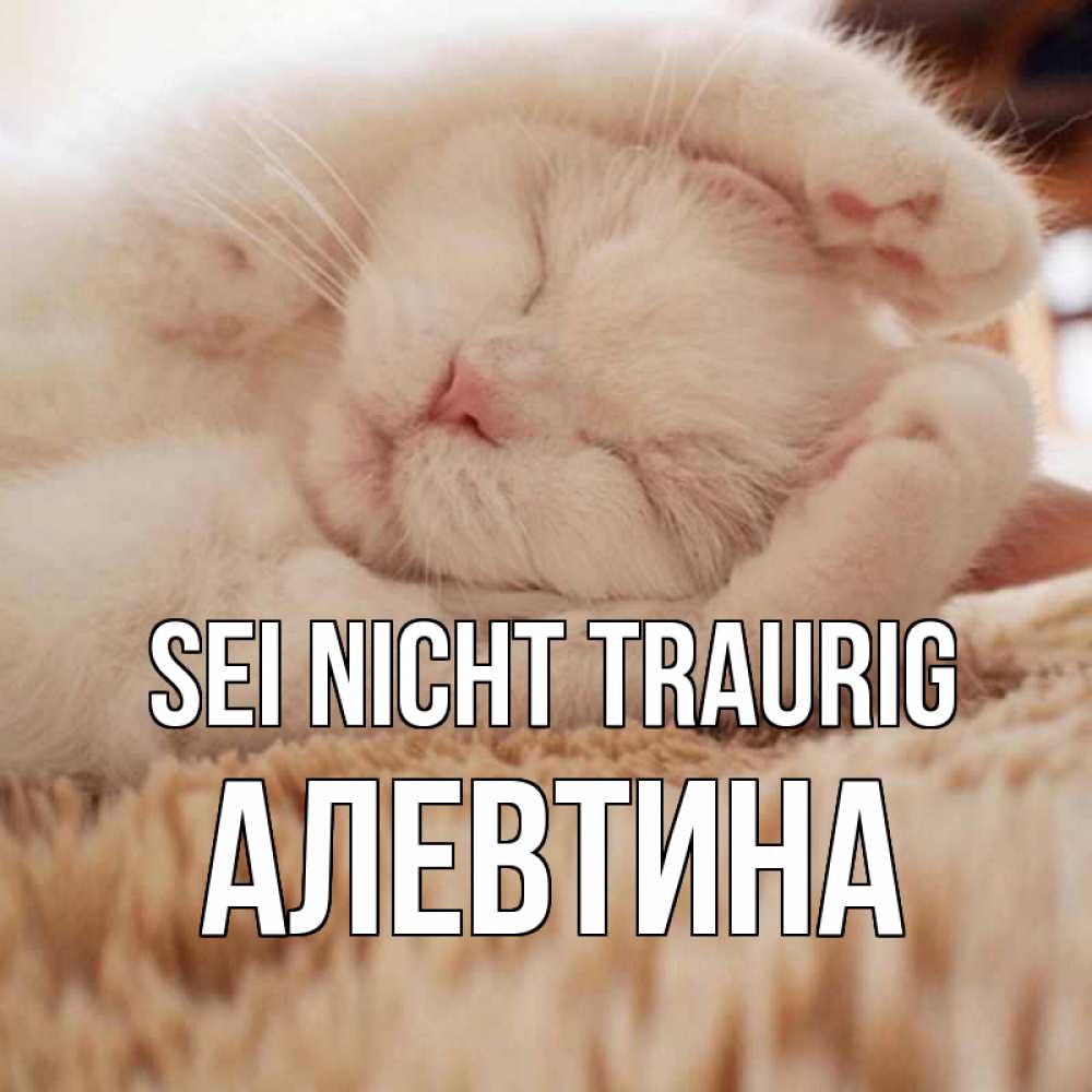 Открытка на каждый день с именем, Алевтина Sei nicht traurig белый кот Прикольная открытка с пожеланием онлайн скачать бесплатно 