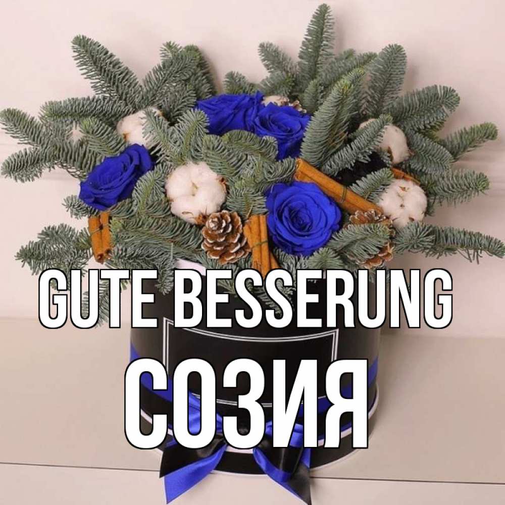 Открытка на каждый день с именем, Созия Gute Besserung короче кто то загрузил эти шишки Прикольная открытка с пожеланием онлайн скачать бесплатно 