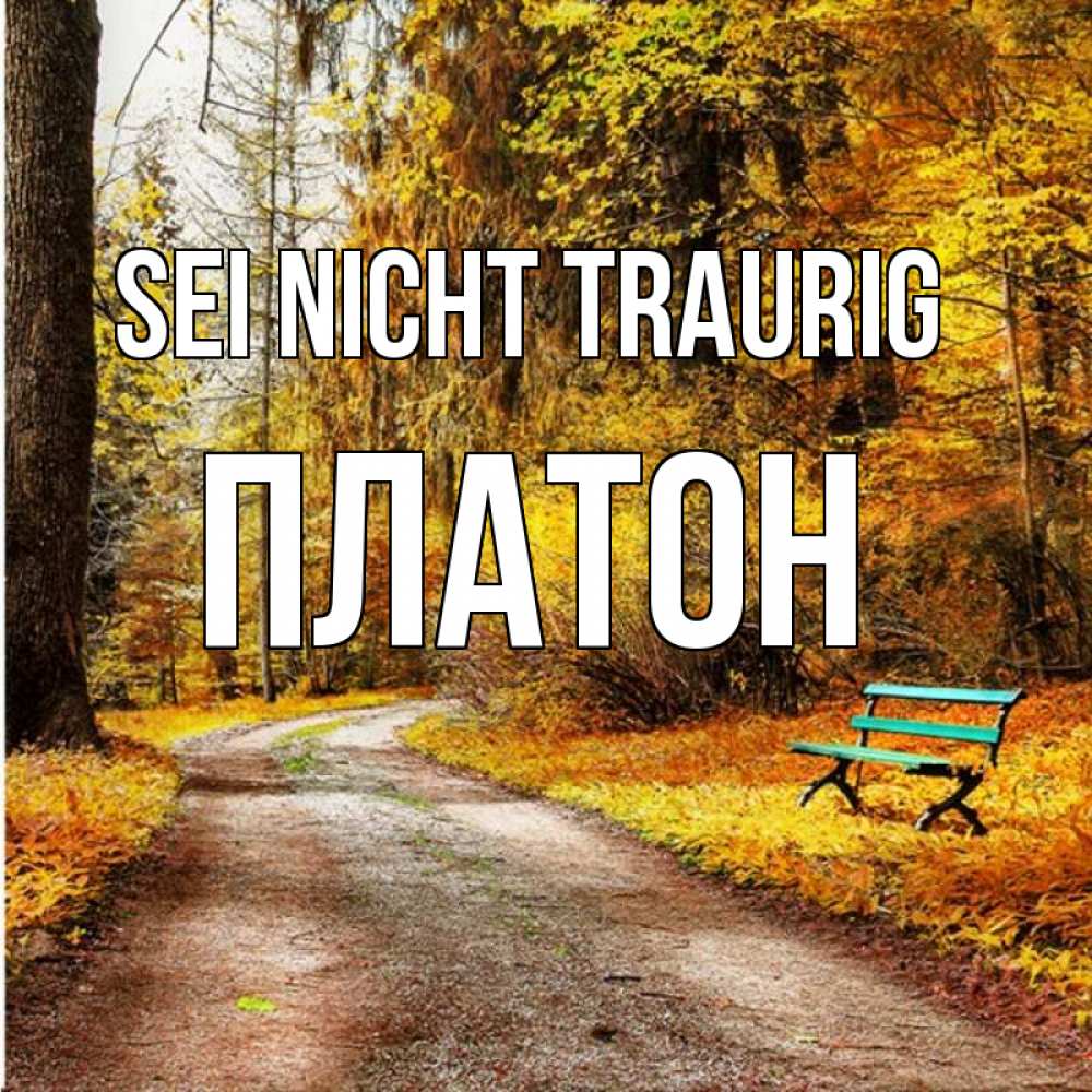 Открытка на каждый день с именем, Платон Sei nicht traurig зеленая лавочка Прикольная открытка с пожеланием онлайн скачать бесплатно 