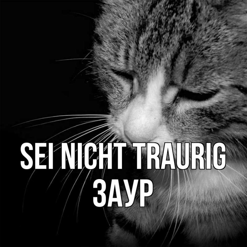 Открытка на каждый день с именем, Заур Sei nicht traurig грустный котик Прикольная открытка с пожеланием онлайн скачать бесплатно 