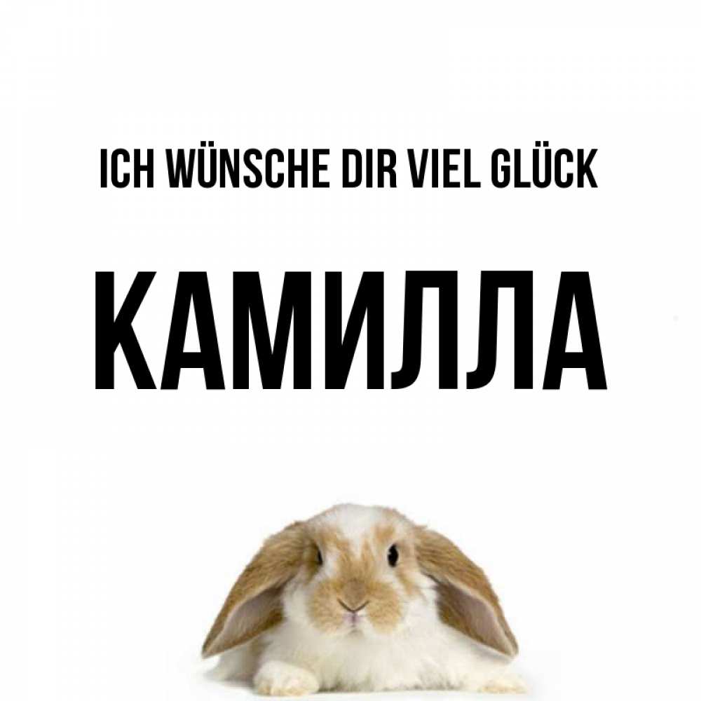 Открытка на каждый день с именем, Камилла Ich wünsche dir viel Glück открытки с произвольным текстом который можно вставить в открытку и создать ее самостоятельно бесплатно онлайн Прикольная открытка с пожеланием онлайн скачать бесплатно 