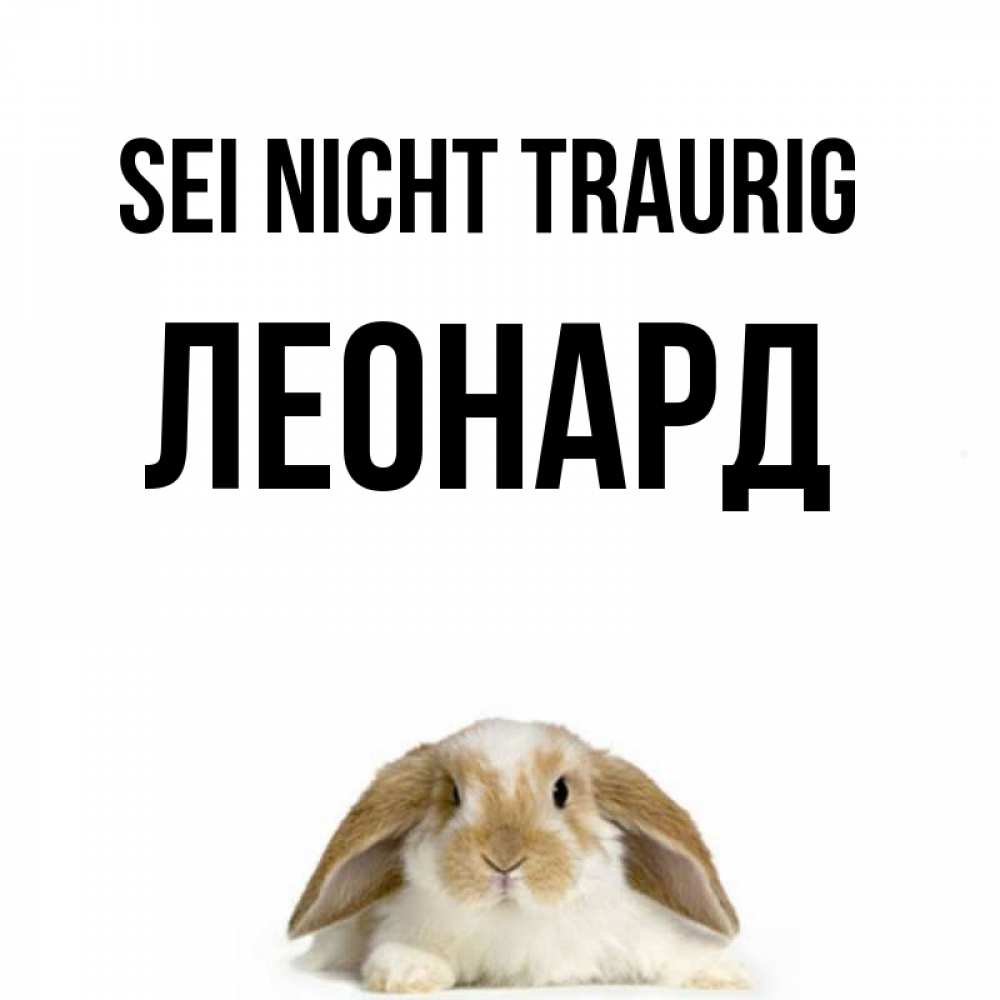 Открытка на каждый день с именем, Леонард Sei nicht traurig коричнево белый заяц с большими ушками Прикольная открытка с пожеланием онлайн скачать бесплатно 
