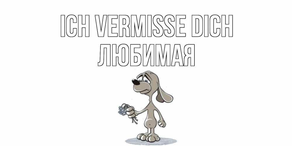 Открытка на каждый день с именем, Любимая Ich vermisse dich я по тебе скучаю с песиком Прикольная открытка с пожеланием онлайн скачать бесплатно 