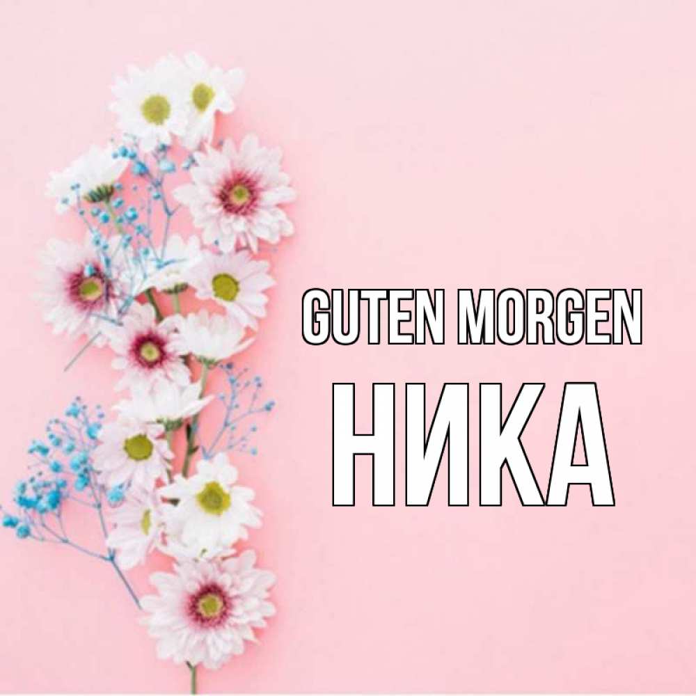 Открытка на каждый день с именем, Ника Guten Morgen цветы с подписью Прикольная открытка с пожеланием онлайн скачать бесплатно 