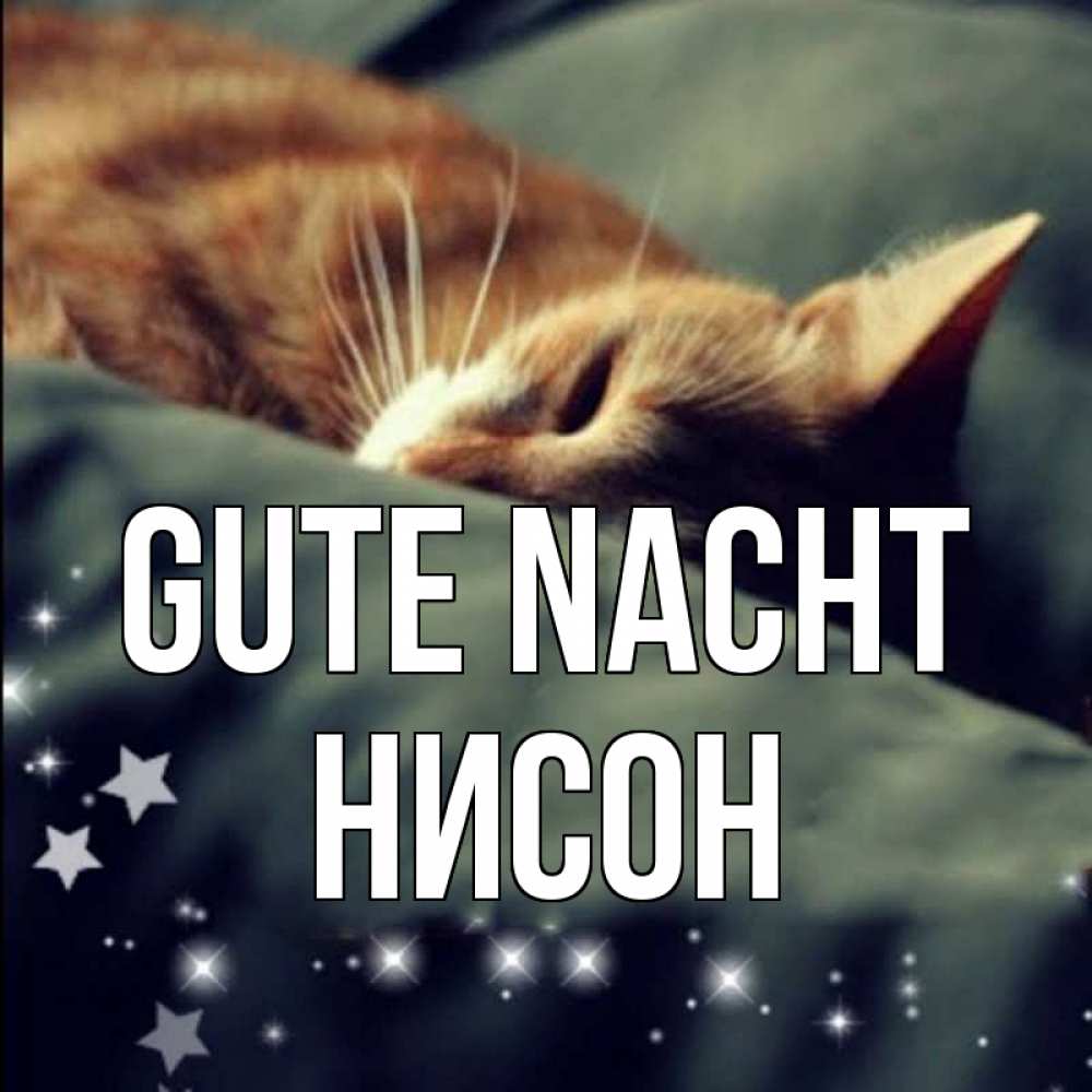 Открытка на каждый день с именем, Нисон Gute Nacht кроватка Прикольная открытка с пожеланием онлайн скачать бесплатно 