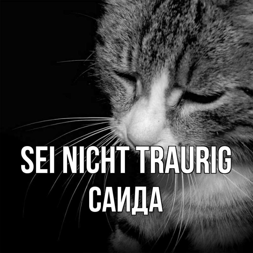 Открытка на каждый день с именем, Саида Sei nicht traurig грустный котик Прикольная открытка с пожеланием онлайн скачать бесплатно 