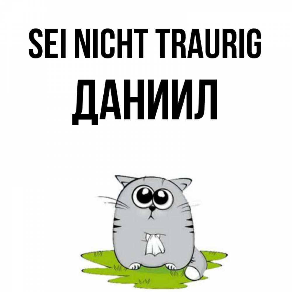 Открытка на каждый день с именем, Даниил Sei nicht traurig грустный котяра Прикольная открытка с пожеланием онлайн скачать бесплатно 