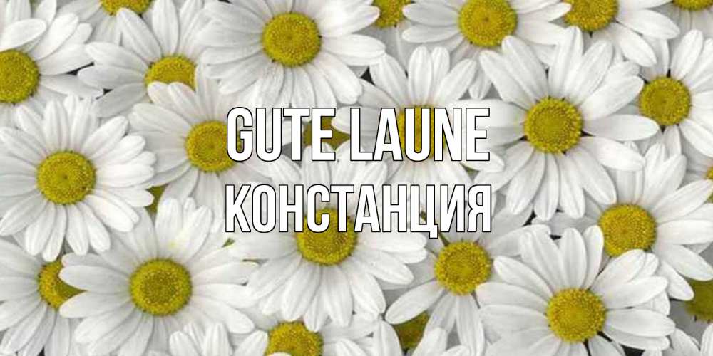 Открытка на каждый день с именем, Констанция Gute Laune поляна ромашек Прикольная открытка с пожеланием онлайн скачать бесплатно 