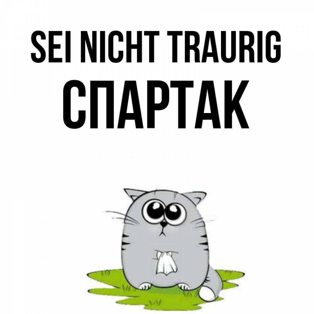 Открытка на каждый день с именем, Спартак Sei nicht traurig грустный котяра Прикольная открытка с пожеланием онлайн скачать бесплатно 