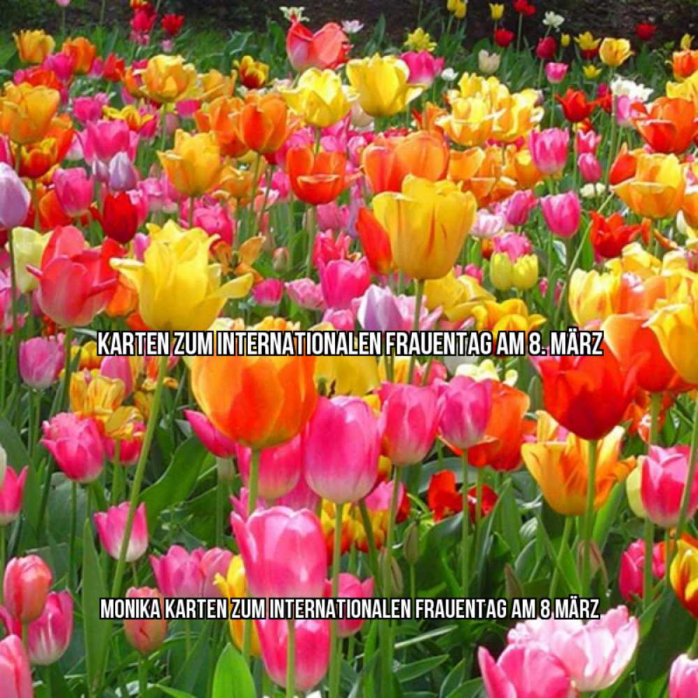 Картинка Karten zum Internationalen Frauentag am 8. März, Monika