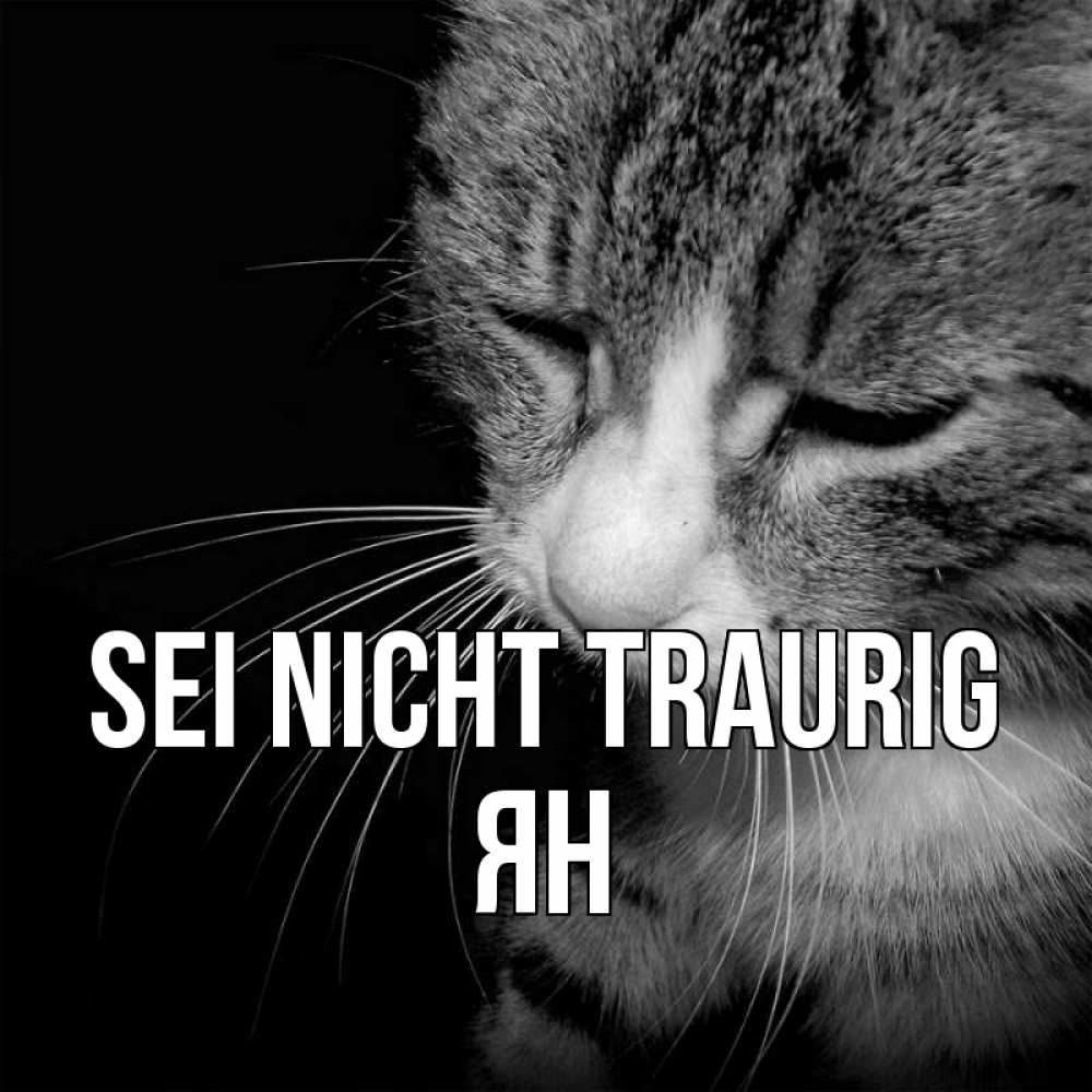 Открытка на каждый день с именем, Ян Sei nicht traurig грустный котик Прикольная открытка с пожеланием онлайн скачать бесплатно 