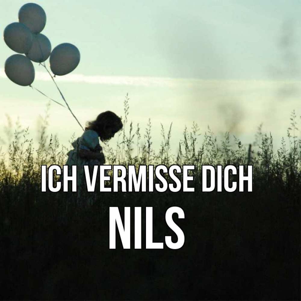 Открытка на каждый день с именем, Nils Ich vermisse dich приходи ко мне и давай дружить Прикольная открытка с пожеланием онлайн скачать бесплатно 