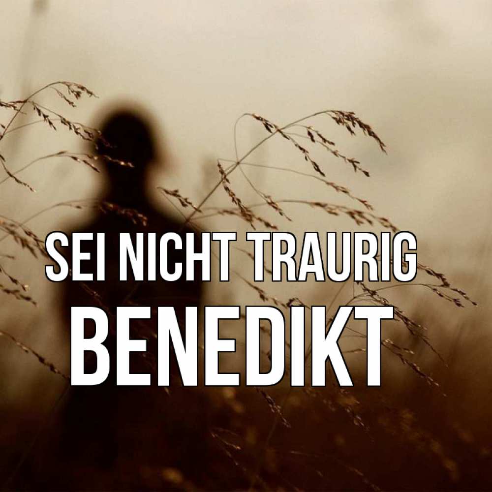 Открытка на каждый день с именем, Benedikt Sei nicht traurig грусть Прикольная открытка с пожеланием онлайн скачать бесплатно 