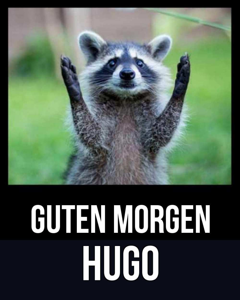 Открытка на каждый день с именем, Hugo Guten Morgen хорошее настроение утречком Прикольная открытка с пожеланием онлайн скачать бесплатно 