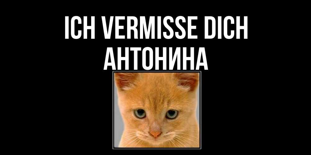 Открытка на каждый день с именем, Антонина Ich vermisse dich открытки рыжий котенок скучает по тебе Прикольная открытка с пожеланием онлайн скачать бесплатно 