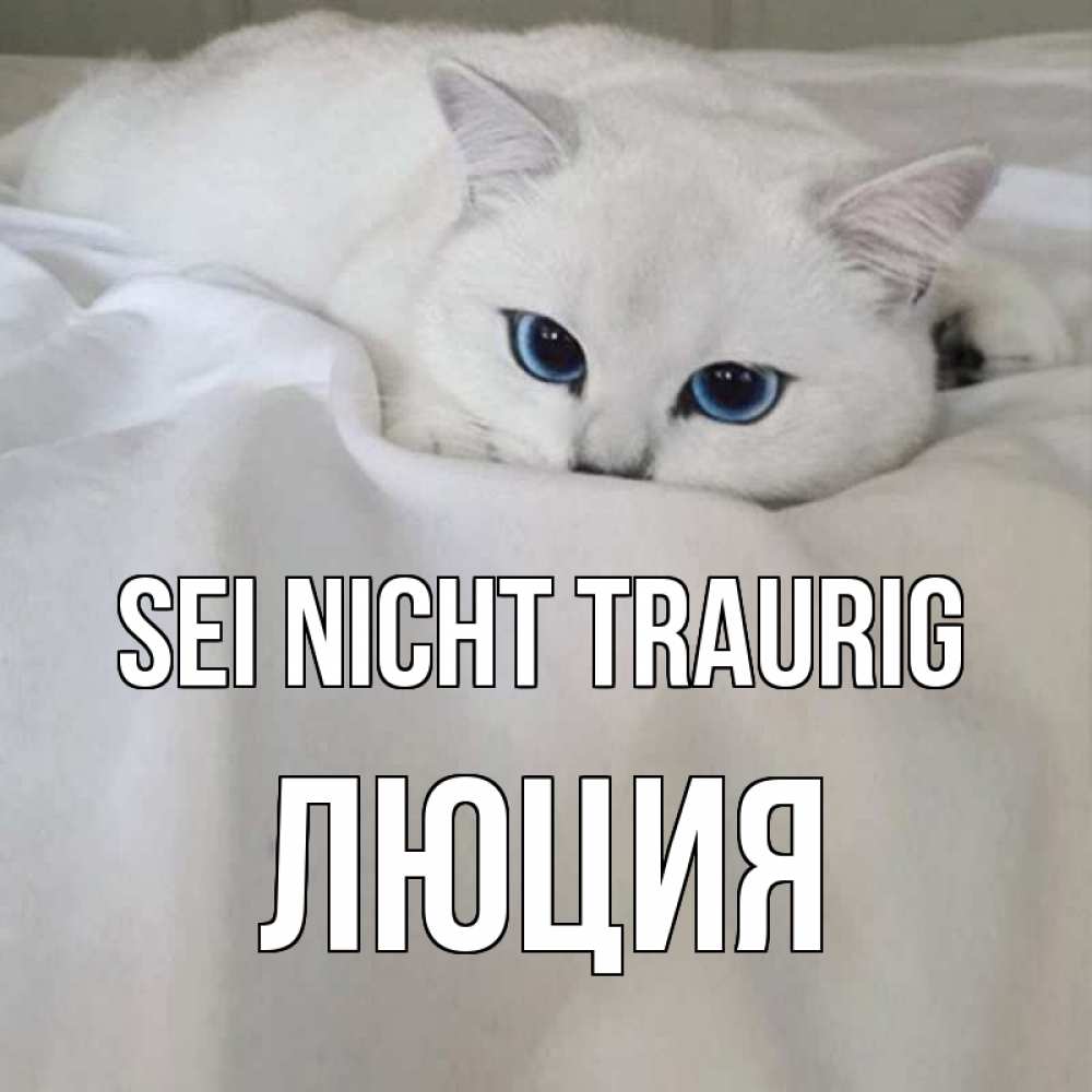 Открытка на каждый день с именем, Люция Sei nicht traurig белый кот с голубыми глазами на белоснежной кровати Прикольная открытка с пожеланием онлайн скачать бесплатно 