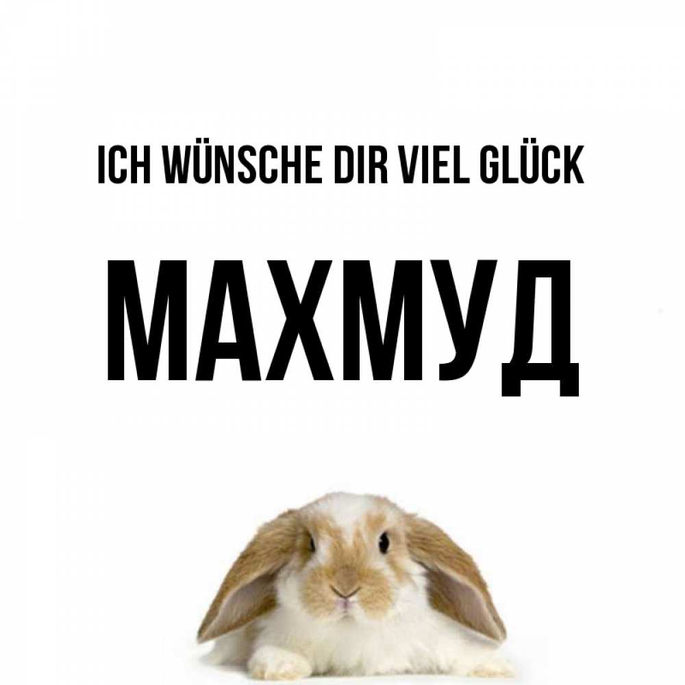 Открытка на каждый день с именем, Махмуд Ich wünsche dir viel Glück открытки с произвольным текстом который можно вставить в открытку и создать ее самостоятельно бесплатно онлайн Прикольная открытка с пожеланием онлайн скачать бесплатно 