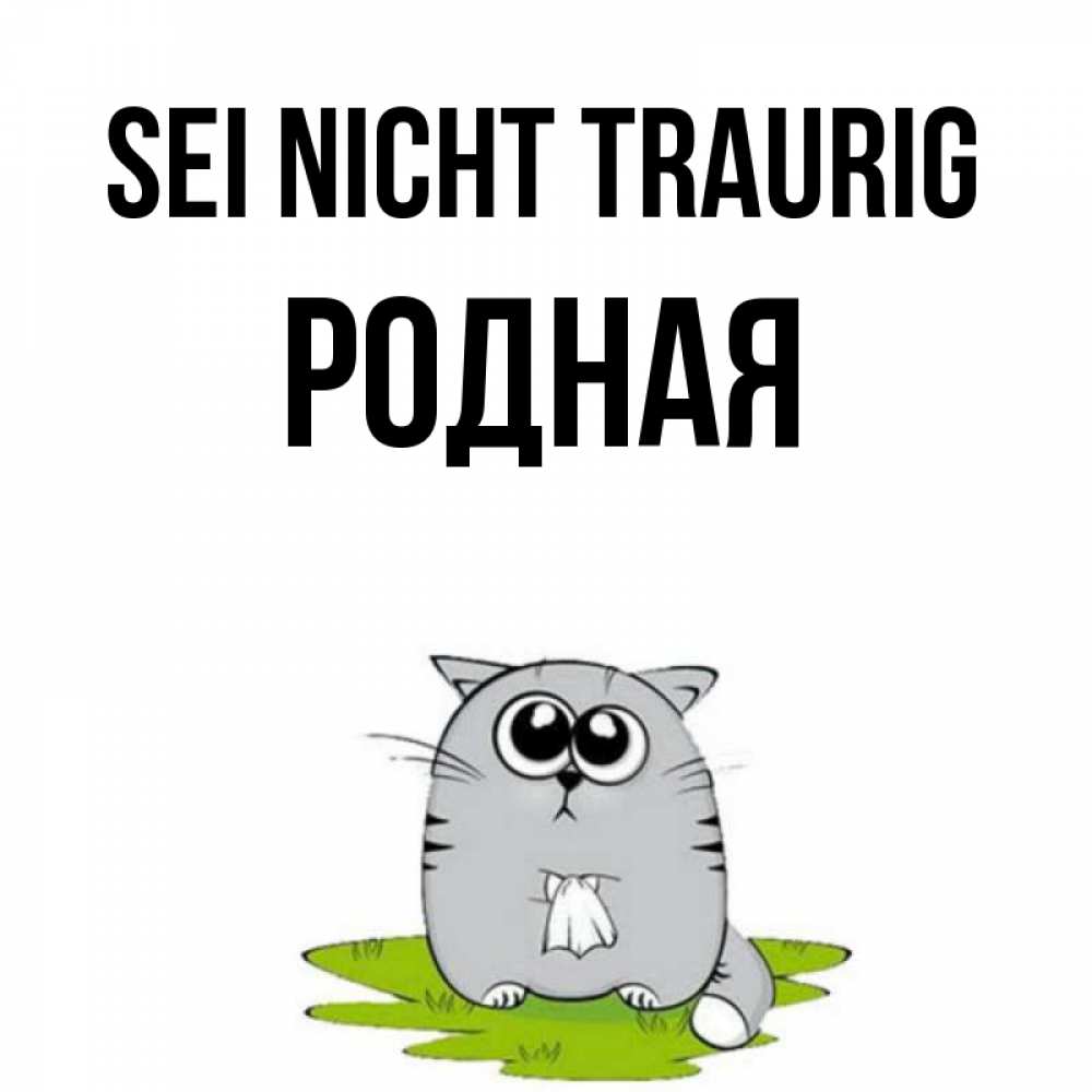 Открытка на каждый день с именем, Родная Sei nicht traurig грустный котяра Прикольная открытка с пожеланием онлайн скачать бесплатно 